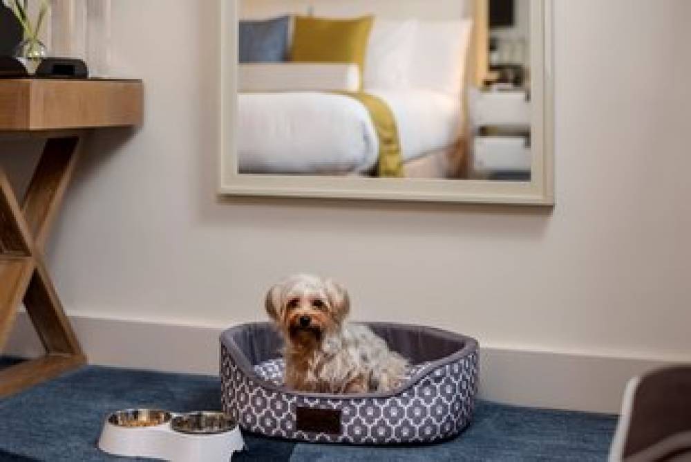 KIMPTON ASHBEL NEW YORK 4