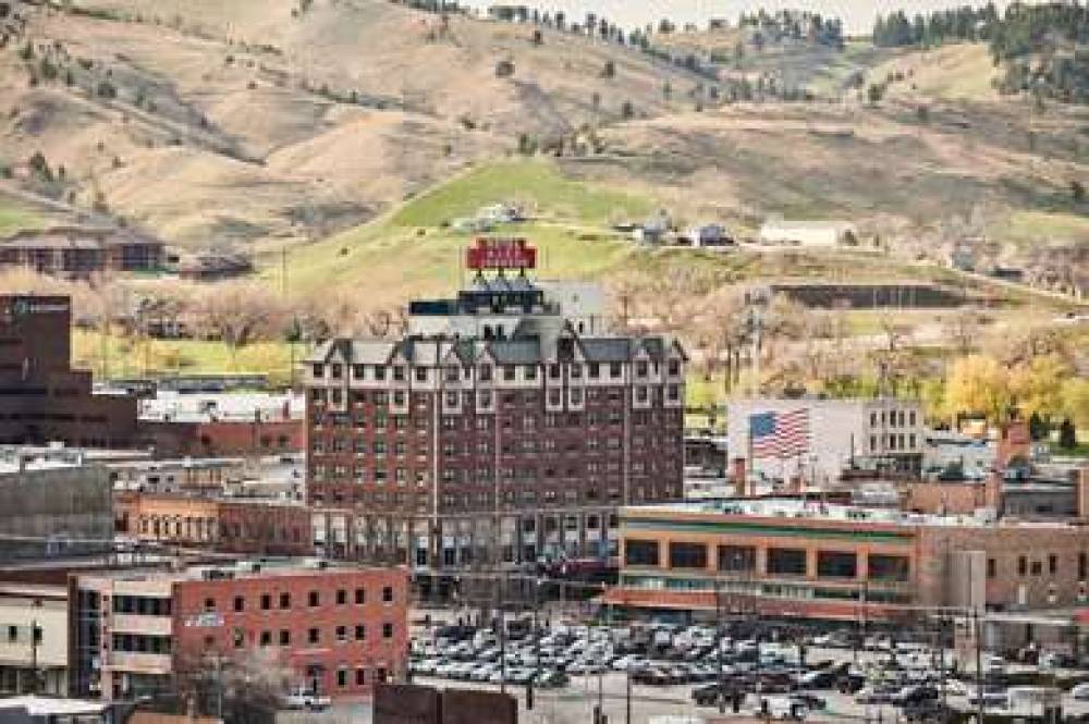 Alex Johnson Curio By Hilton