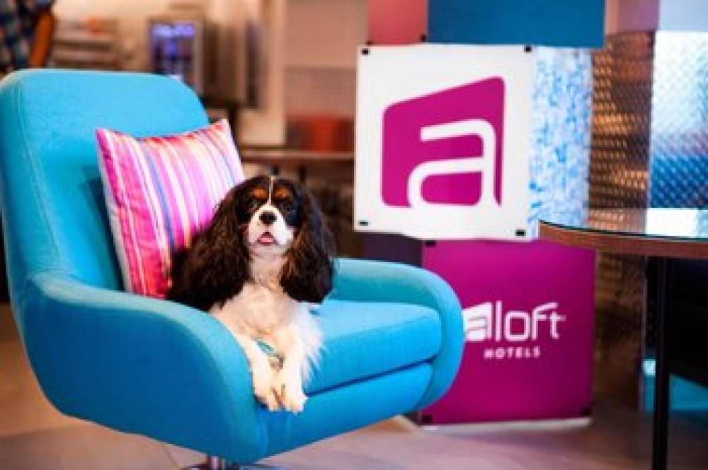 Aloft Miami Dadeland 10