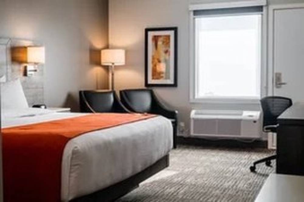 AMSTERDAM INN AND SUITES 9