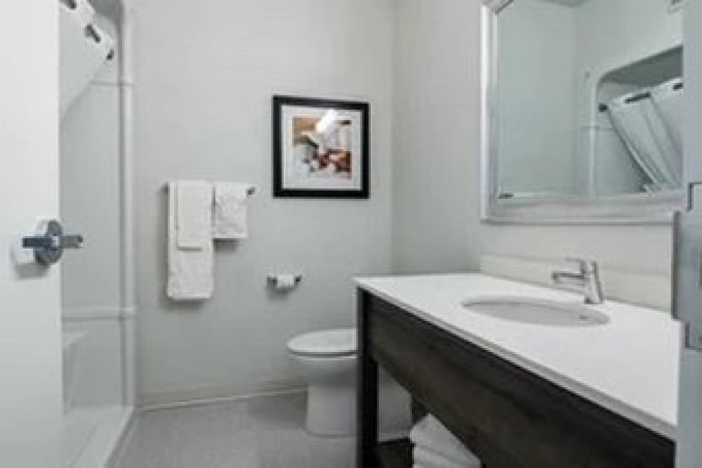 AMSTERDAM INN AND SUITES 5