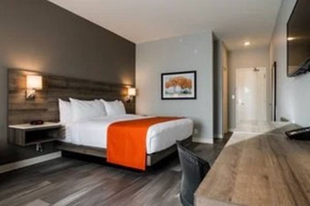 AMSTERDAM INN AND SUITES 10