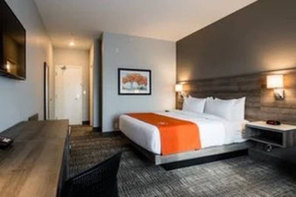 AMSTERDAM INN AND SUITES 6