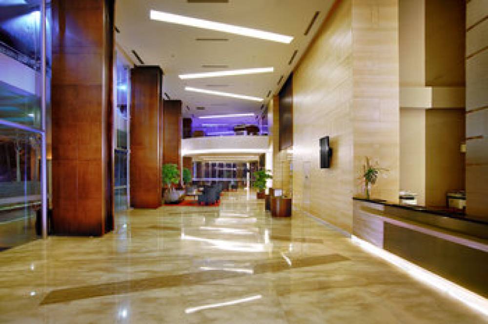 ASTON PLUIT 8