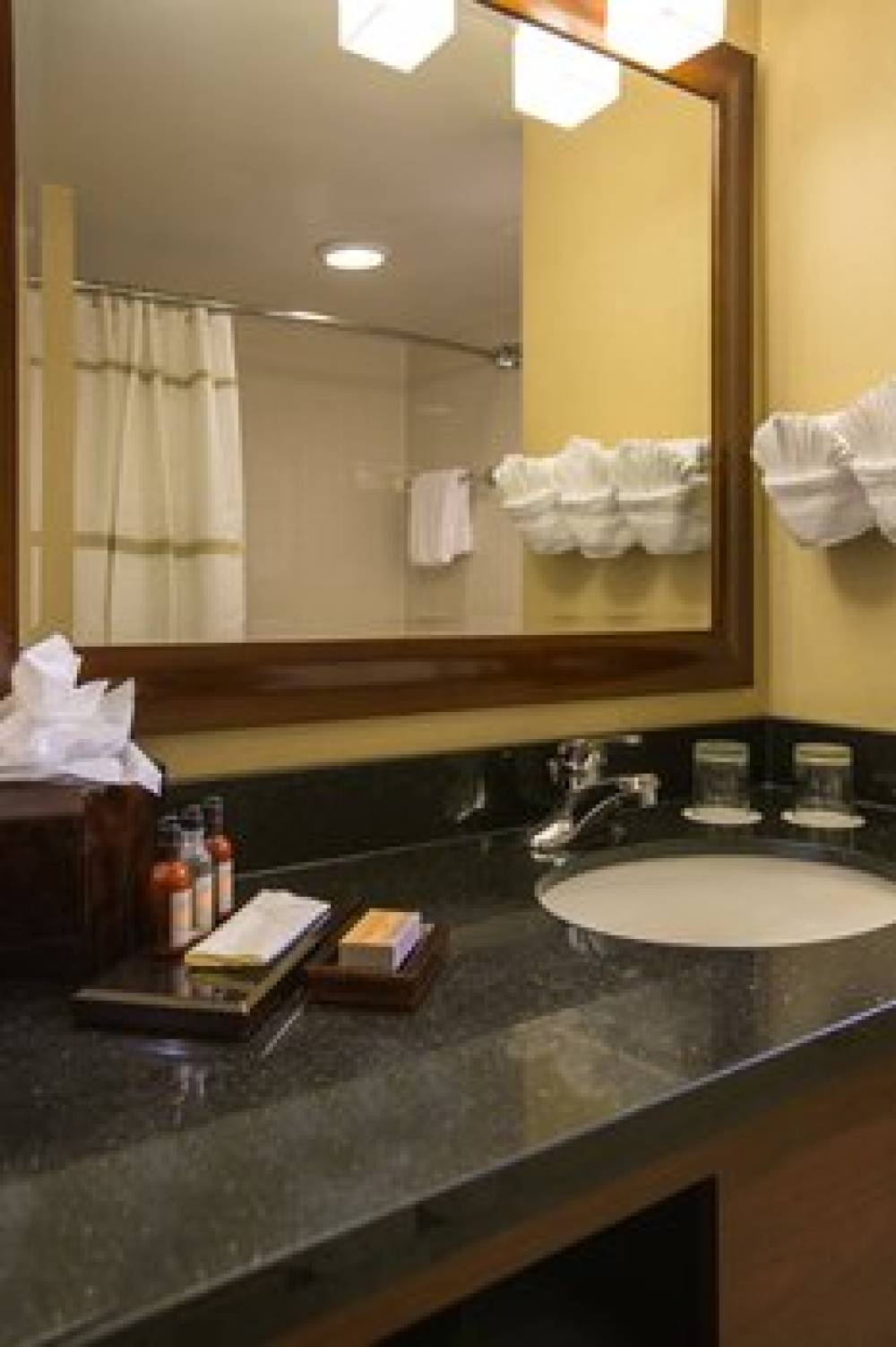 Baltimore Marriott Inner Harbor At Camden Yards 10