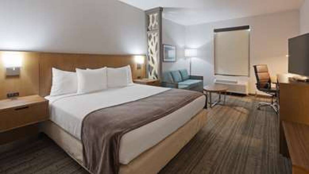 Best Western Green Oak Inn & Suites 6