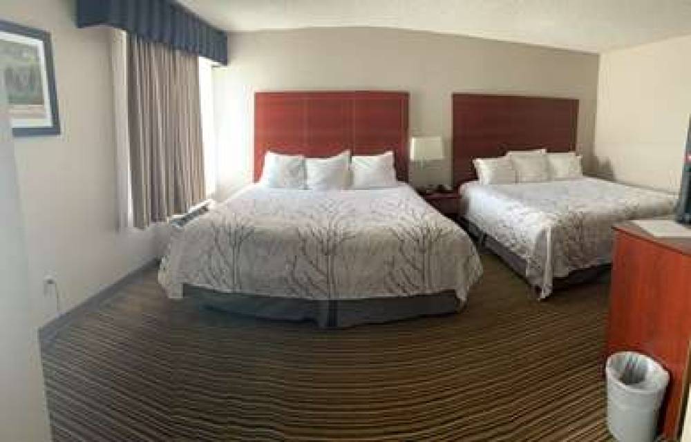 Best Western Park Oasis Inn 2