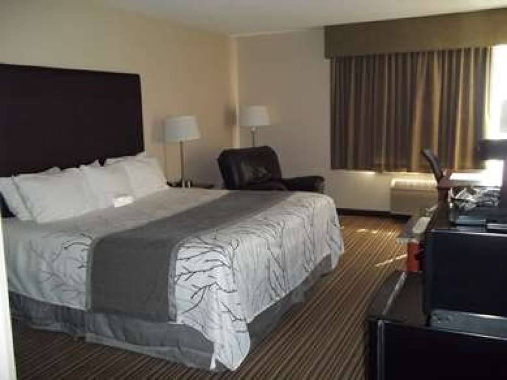 Best Western Park Oasis Inn 10
