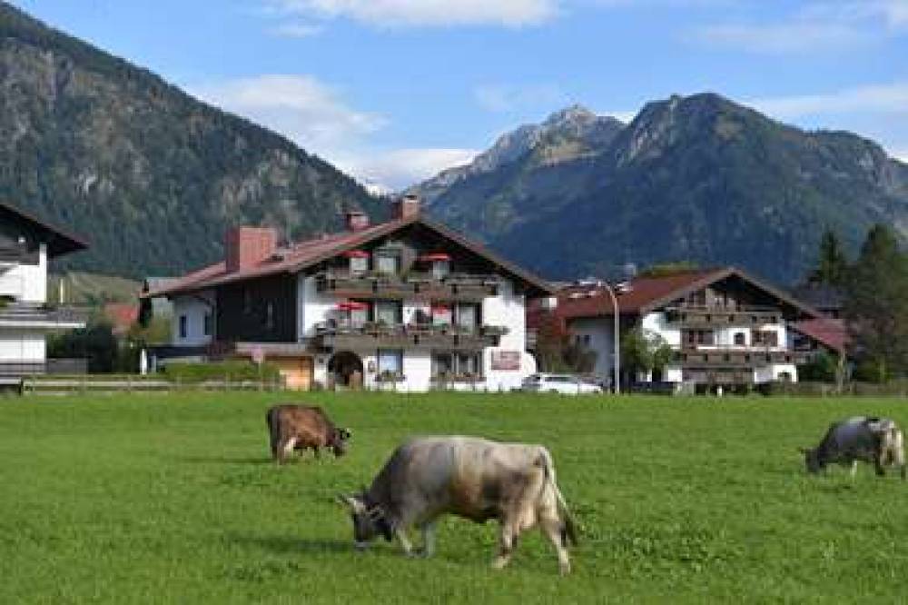 Best Western Plus Hotel Alpenhof