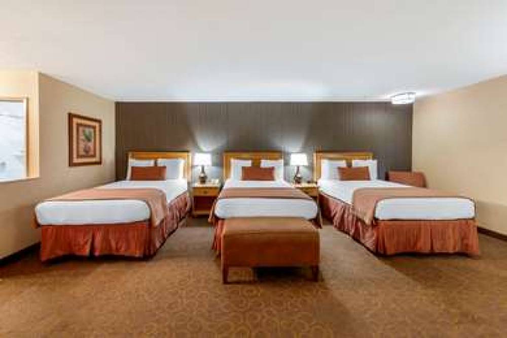 Best Western Plus Pavilions 7
