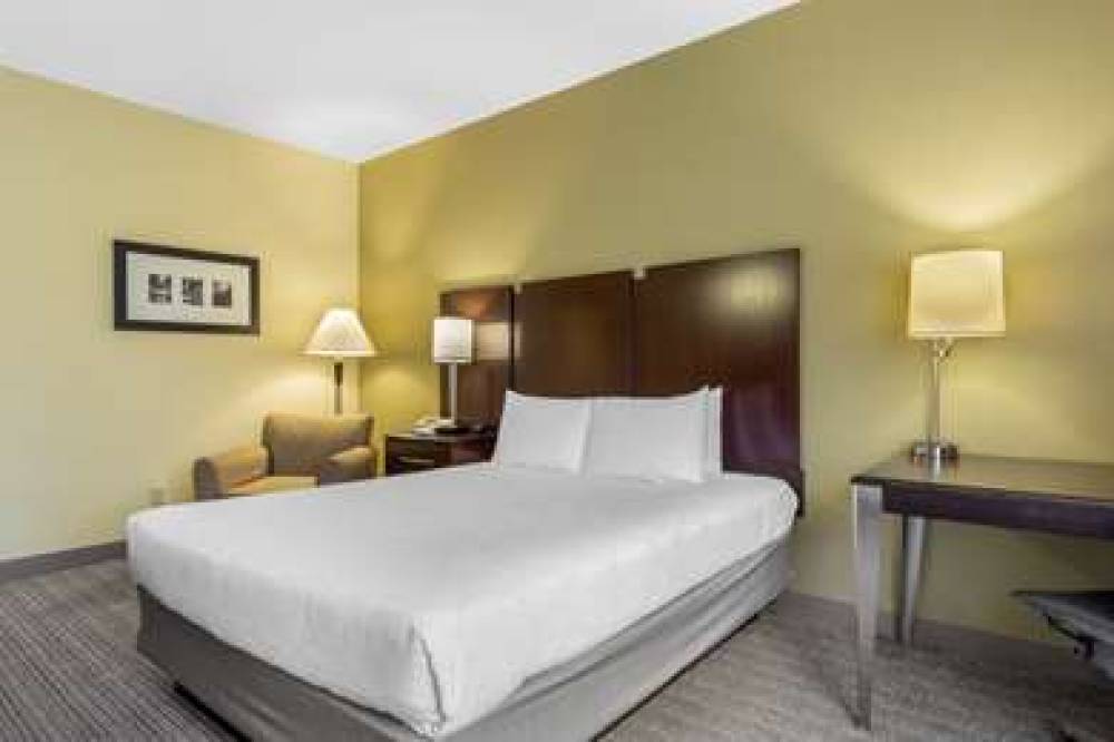 Best Western Plus Plaza By The Green 9