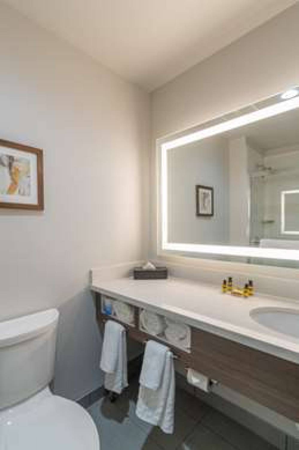 Best Western Plus Tacoma Hotel 2