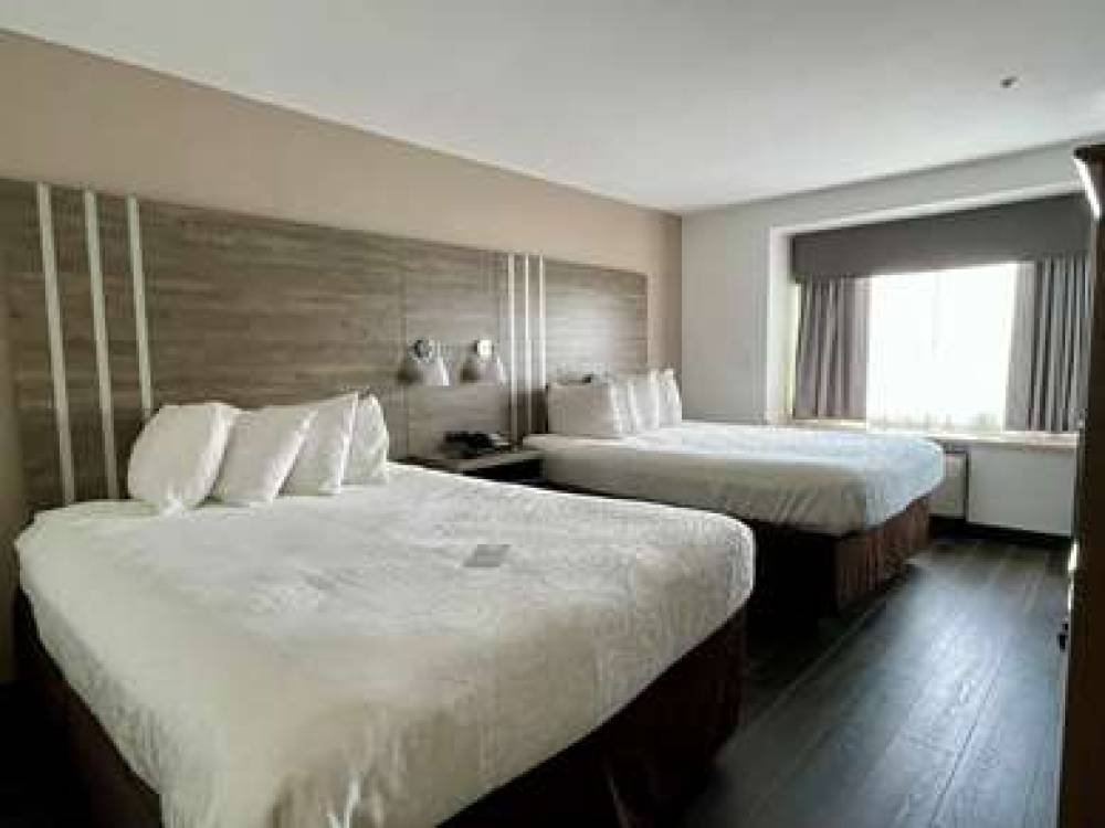 Best Western Roanoke Inn & Suites 7