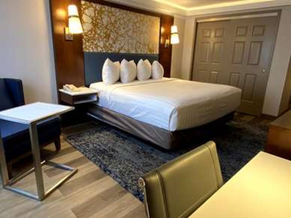 Best Western Westfield Inn 7