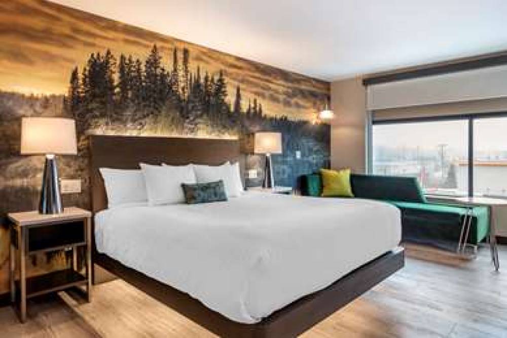 CAMBRIA HOTEL DETROIT-SHELBY TWNSHP 9