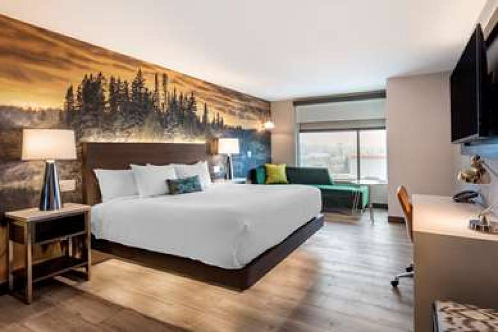 CAMBRIA HOTEL DETROIT-SHELBY TWNSHP 10
