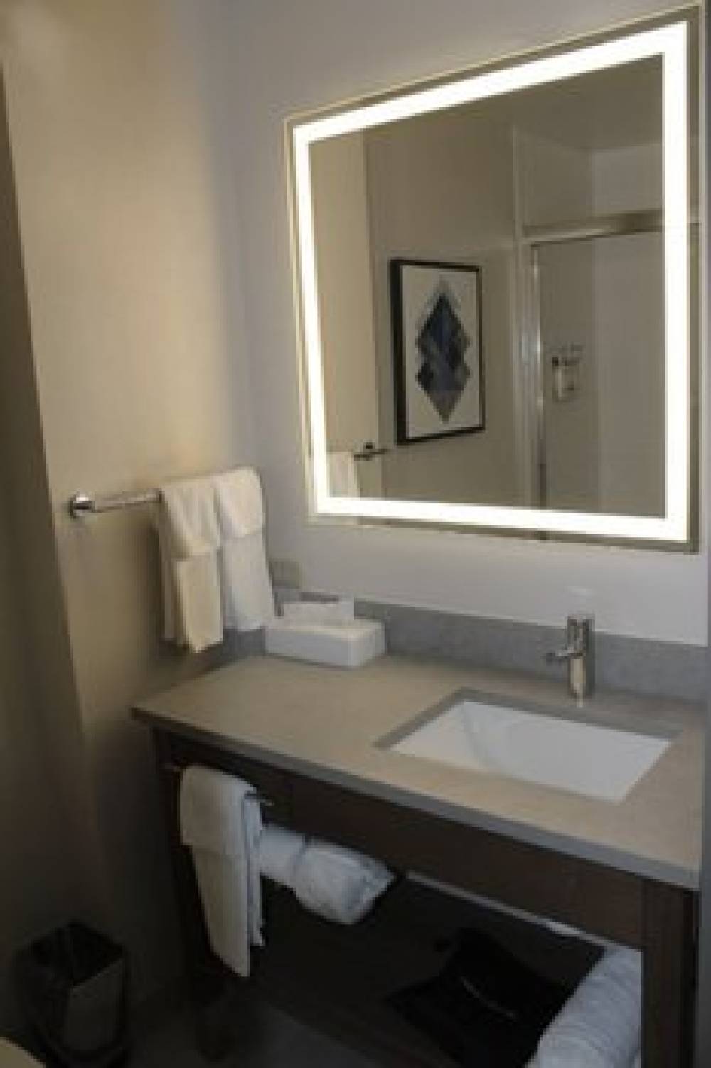 CANDLEWOOD STES SOUTHFIELD BY IHG 3