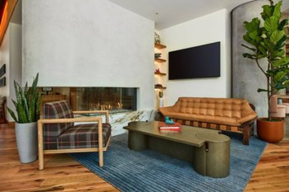 CATBIRD HOTEL 5