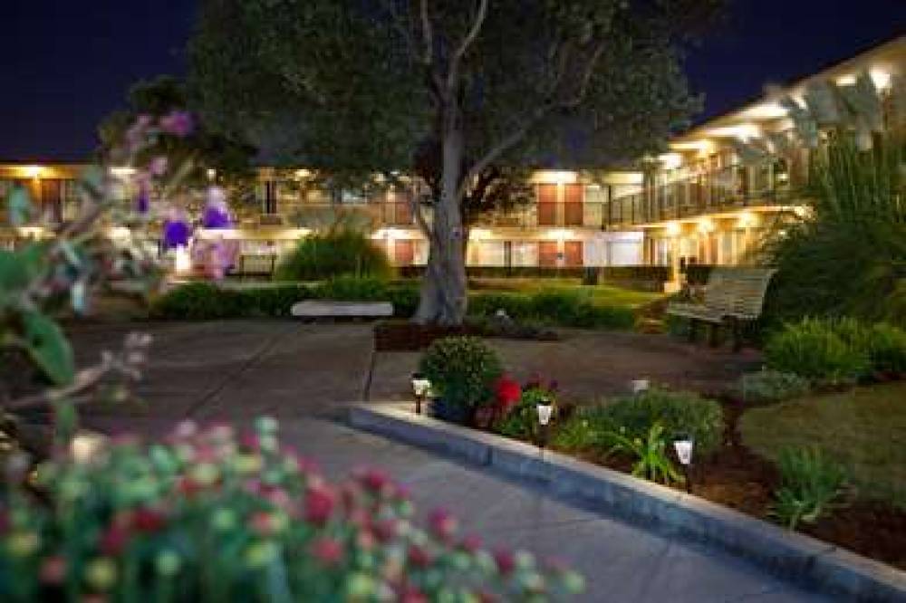 CitiGarden Hotel 9
