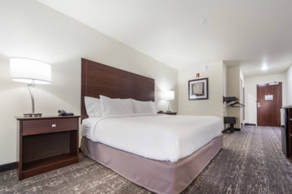 COBBLESTONE INN HOLDREGE 8