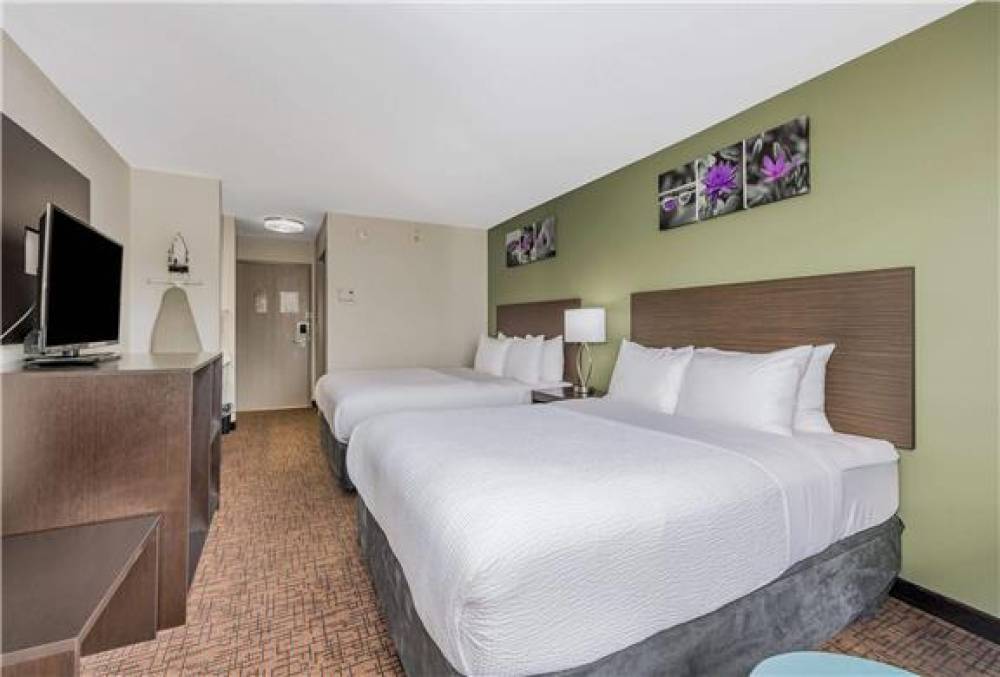 COLLEGE INN 9