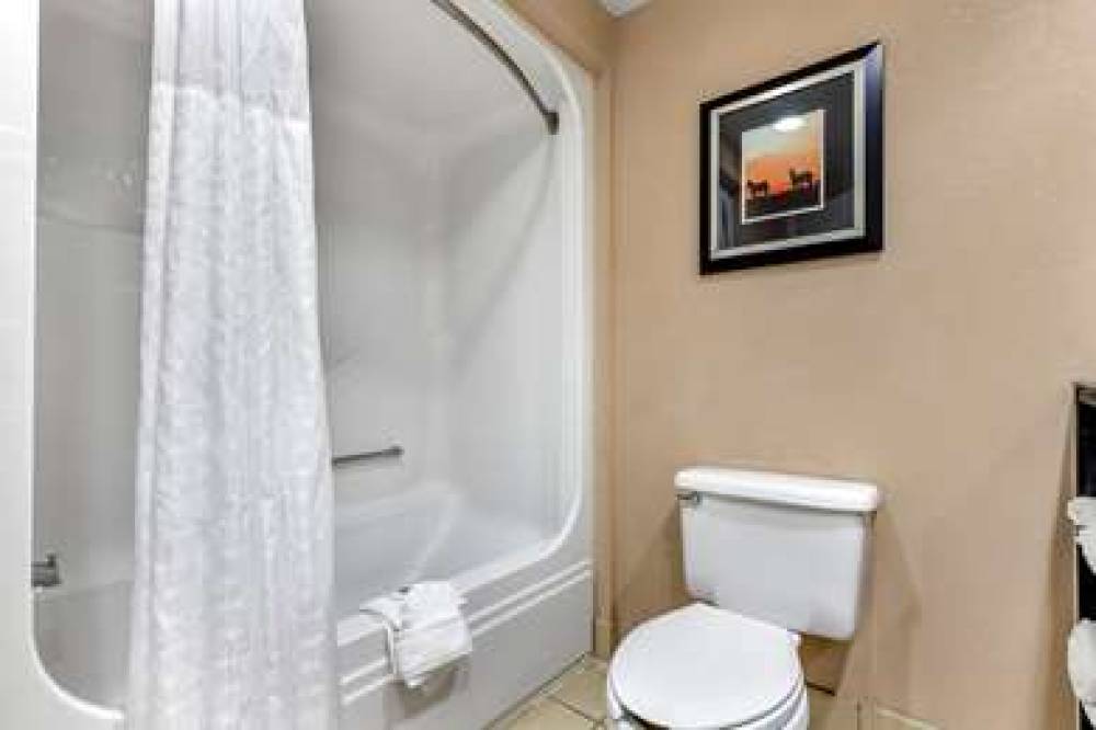 COMFORT INN AND SUITES ASHEBORO 8