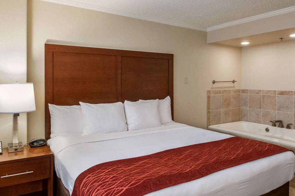 COMFORT INN AND SUITES AT COPELAND 3