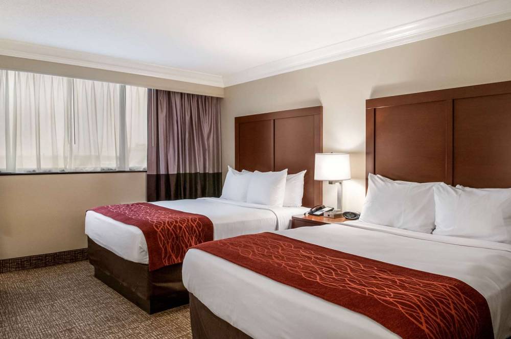 COMFORT INN AND SUITES AT COPELAND 9