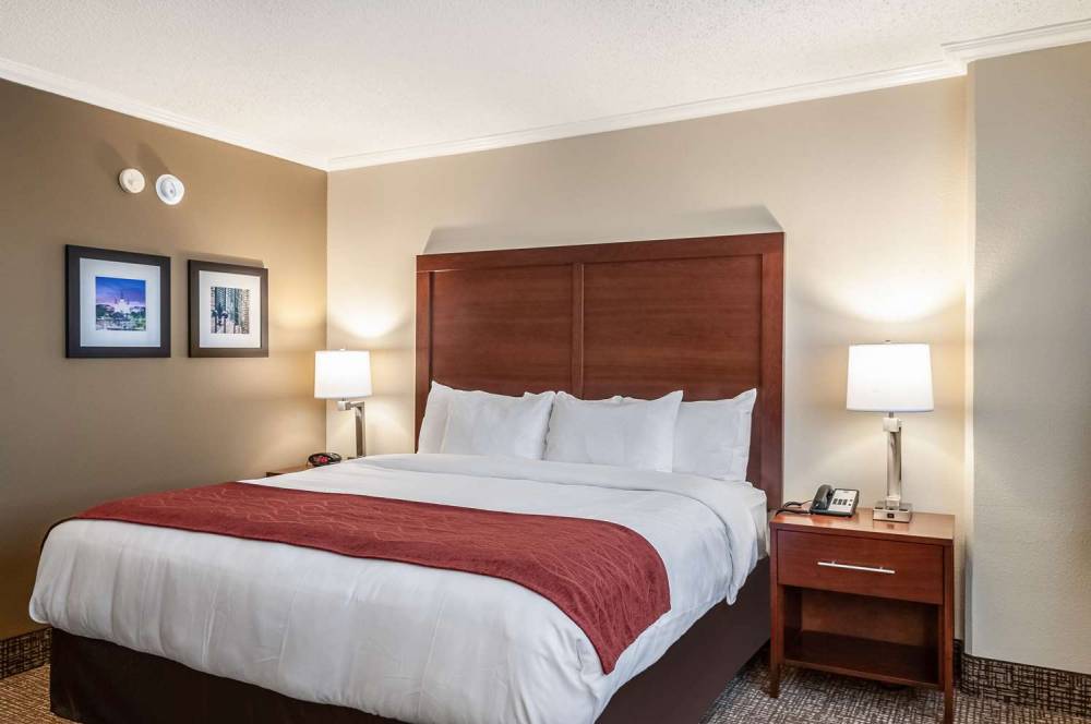 COMFORT INN AND SUITES AT COPELAND 10