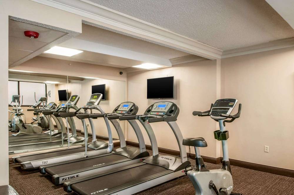 COMFORT INN AND SUITES AT COPELAND 2