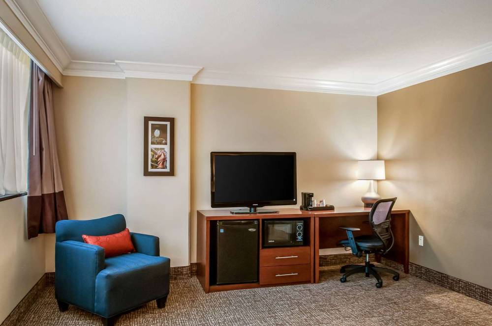 COMFORT INN AND SUITES AT COPELAND 6