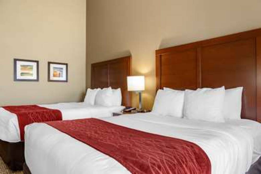 COMFORT INN AND SUITES AUGUSTA 1
