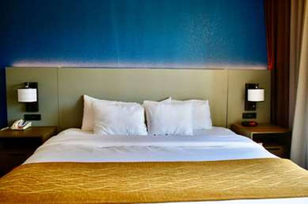 Comfort Inn And Suites Cartersville