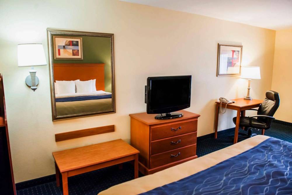Comfort Inn And Suites 3