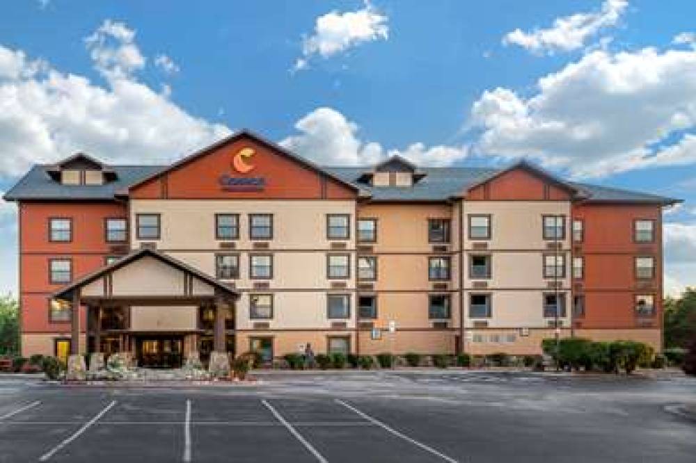 Comfort Inn And Suites 3