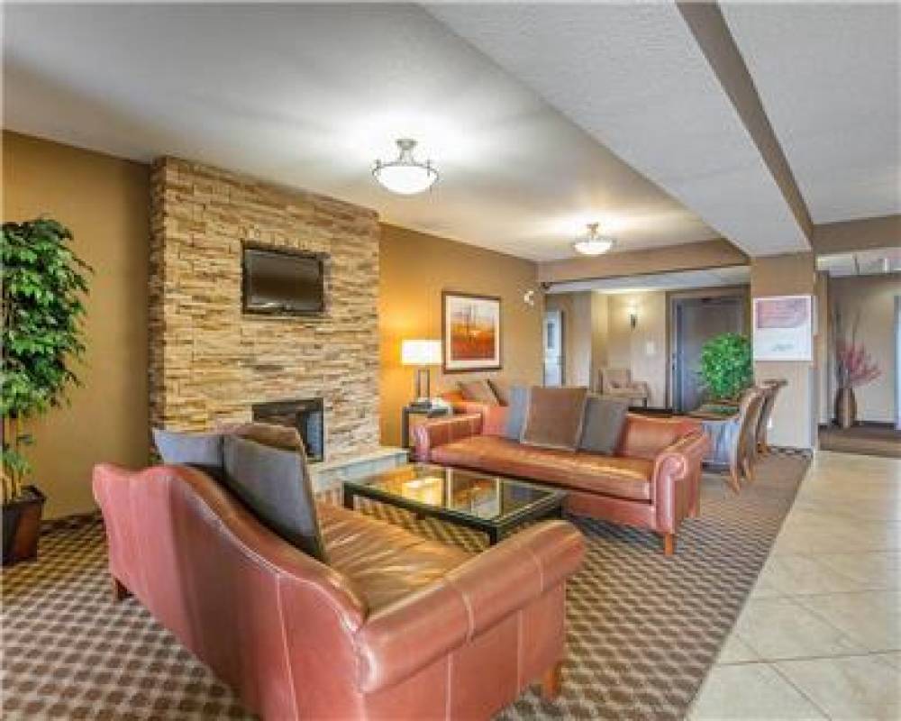 COMFORT INN AND SUITES 7