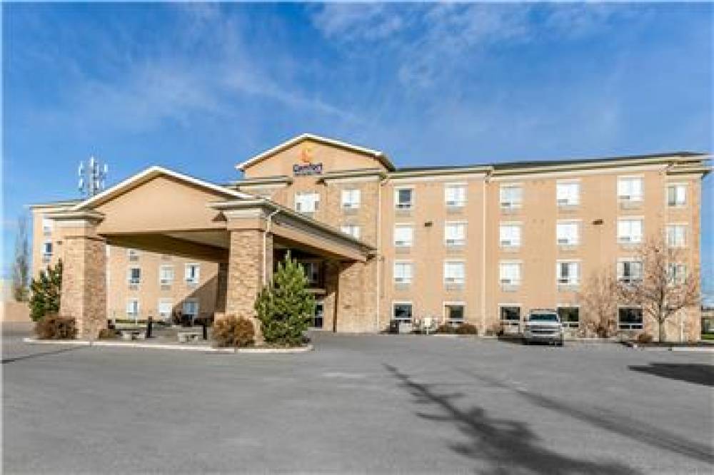 COMFORT INN AND SUITES 1