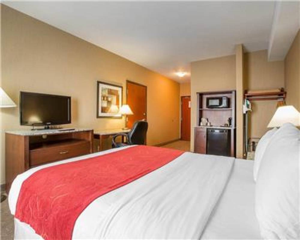 COMFORT INN AND SUITES 9