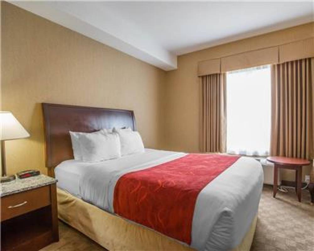 COMFORT INN AND SUITES 10