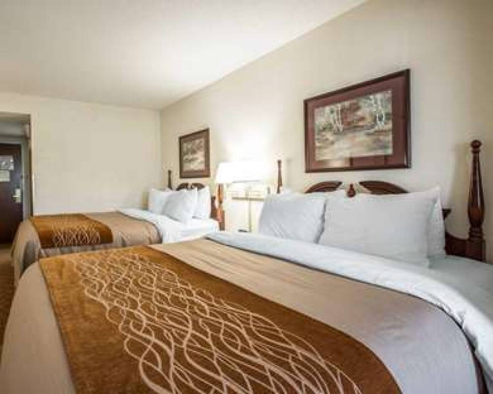 Comfort Inn And Suites 10