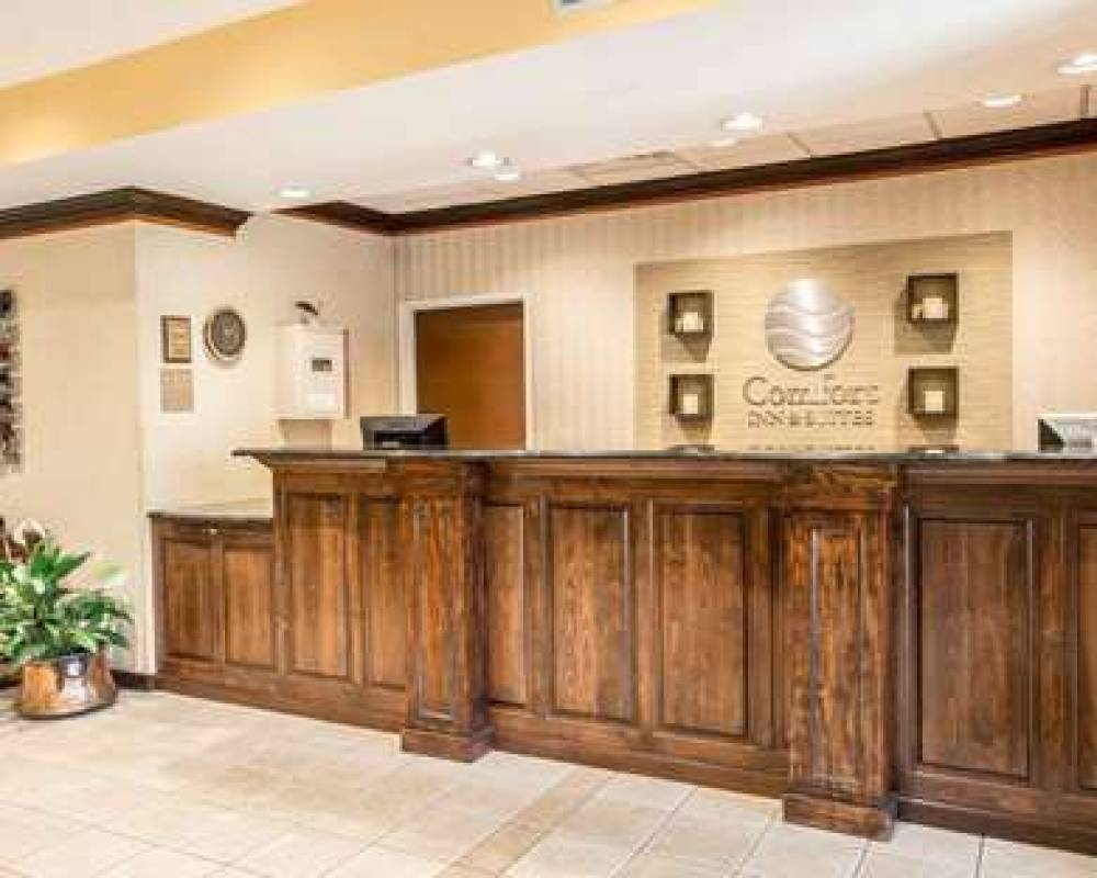 Comfort Inn And Suites 7