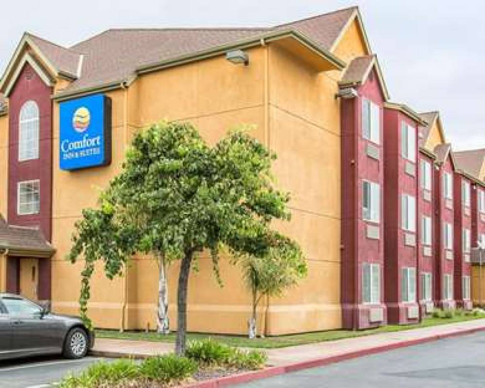 Comfort Inn And Suites