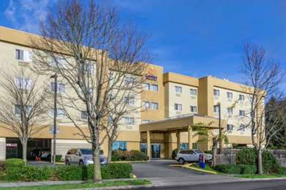 Comfort Inn And Suites
