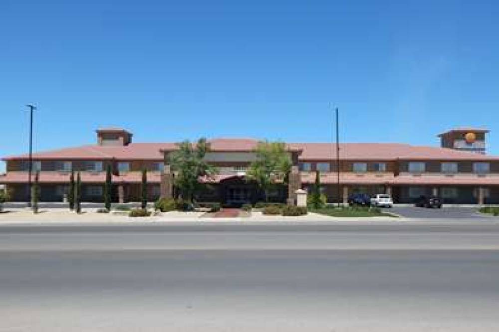 Comfort Inn And Suites