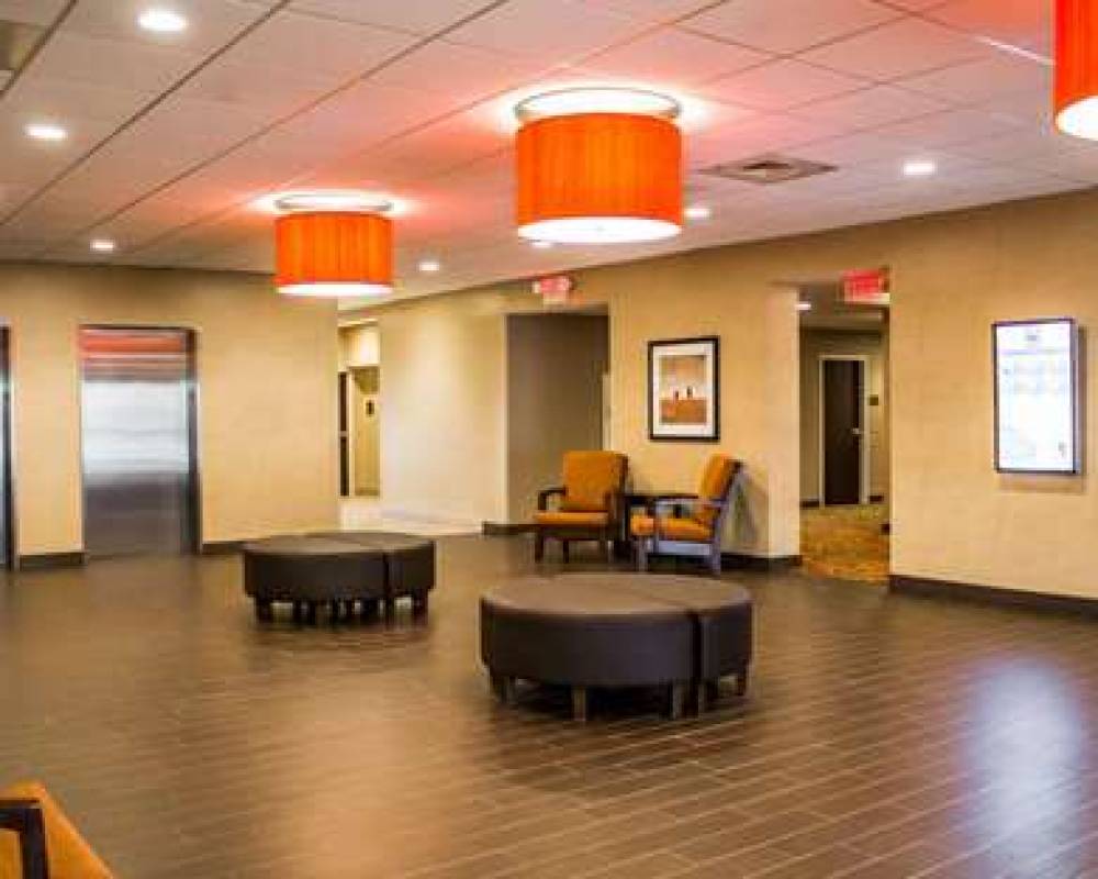 COMFORT INN AND SUITES 5