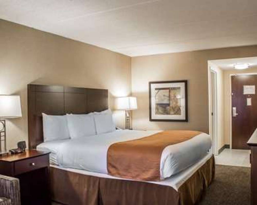 COMFORT INN AND SUITES 6
