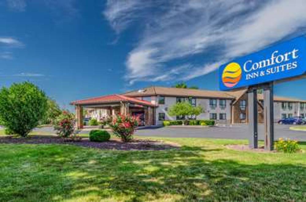 Comfort Inn And Suites 1