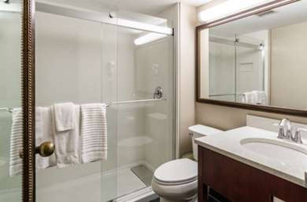 Comfort Inn And Suites 10
