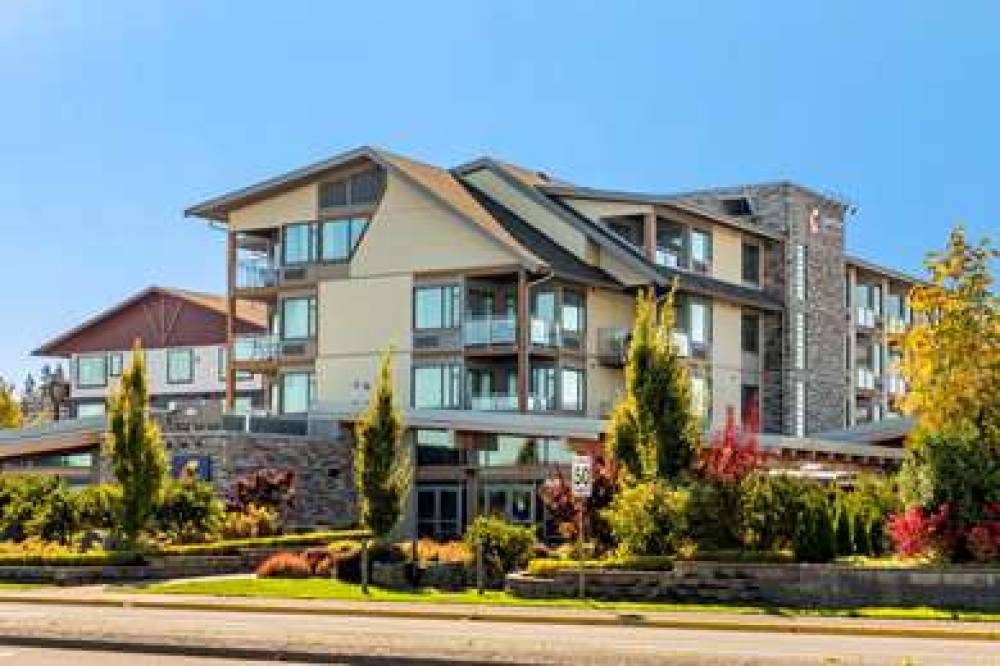 Comfort Inn And Suites