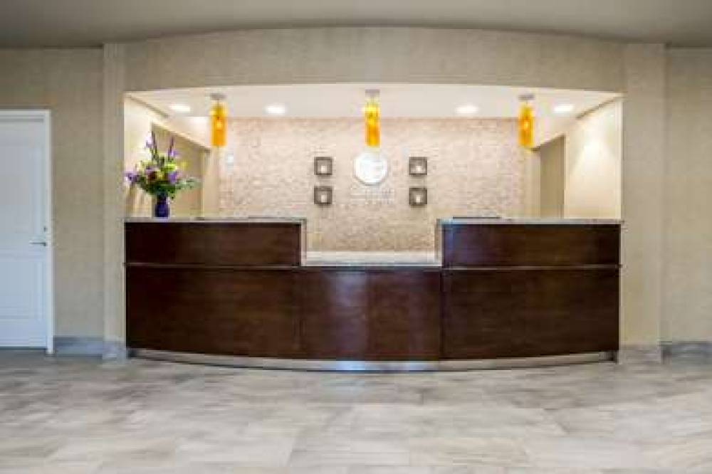 COMFORT INN AND SUITES 5